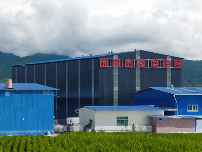 阿壩鑄造(zao)、塗料(liao)、製藥工業VOCs廢(fei)氣(qi)排(pai)放哪(na)些(xie)細節(jie)值得(de)註(zhu)意(yi)！