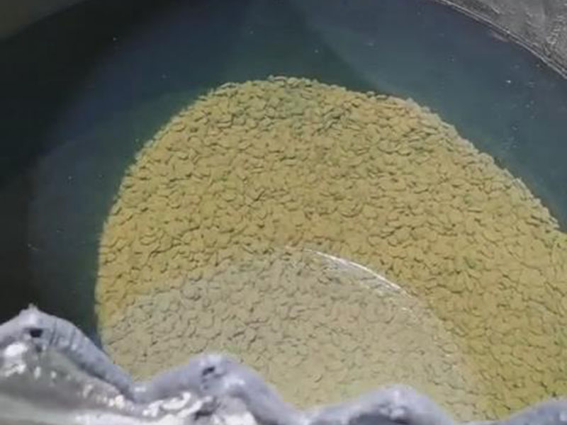 暴風截(jie)圖20929954124537.jpg